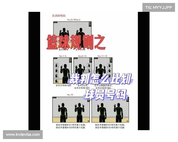 德甲裁判标准解析与实施细则：提升比赛公正性与竞技水平的关键因素